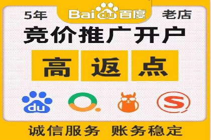 顶尖SEM竞价代运营公司案例分析